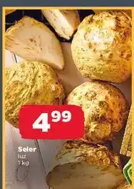 Netto Seler oferta