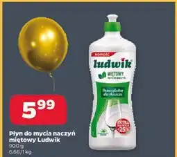Netto Płyn do mycia naczyń miętowy Ludwik oferta