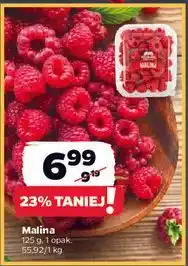 Netto Malina oferta