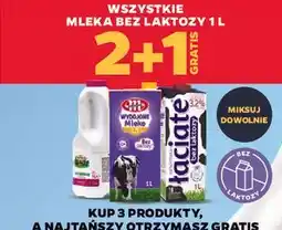 Netto Wszystkie mleka bez laktozy oferta