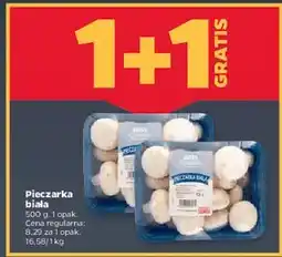 Netto Pieczarka biała oferta