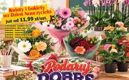 Topaz Goździk 7 szt oferta