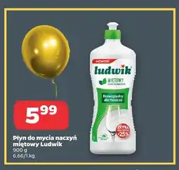 Netto Płyn do mycia naczyń miętowy Ludwik oferta