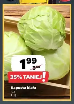 Netto Kapusta biała oferta
