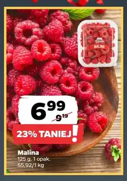 Netto Malina oferta