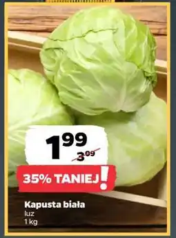 Netto Kapusta biała oferta