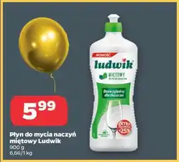 Netto Płyn do mycia naczyń miętowy Ludwik oferta