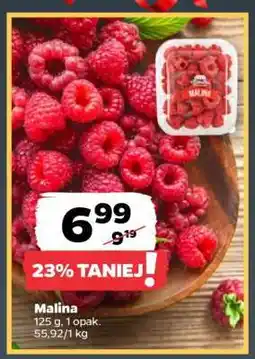 Netto Malina oferta