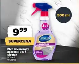 Netto Płyn czyszczący nagrobki 3 w 1 Sidolux oferta