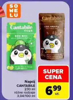 Carrefour Napój CANTABILE oferta