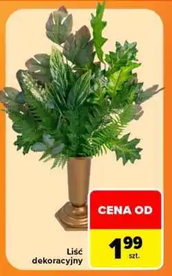 Carrefour Liść dekoracyjny oferta