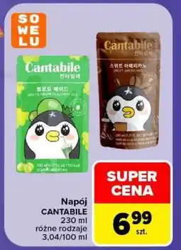 Carrefour Napój CANTABILE oferta