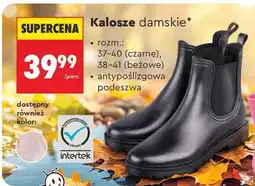 Biedronka Kalosze damskie oferta