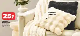 Netto Poduszka dekoracyjna oferta