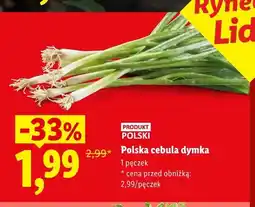 Lidl Polska cebula dymka Ryneczek Lidla oferta