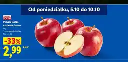 Lidl Polskie jabłka czerwone luzem oferta