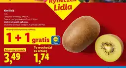 Lidl Kiwi Gold Ryneczek Lidla oferta