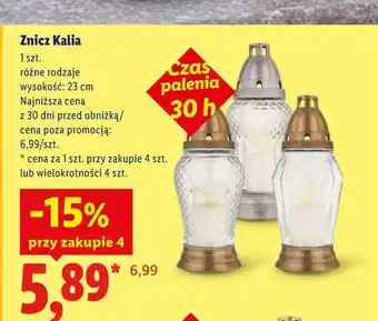 Lidl Znicz Kalia oferta