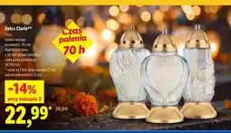 Lidl Znicz Claris oferta