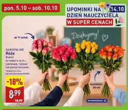 ALDI Róże bukiet Gardenline oferta