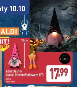 ALDI Skrzat jesienny LED Home Creation oferta