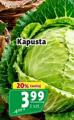 Prim Market Kapusta oferta