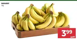 Stokrotka Banany oferta