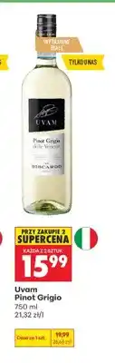 Biedronka Wino białe Uvam Pinot Grigio oferta