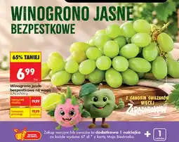 Biedronka Winogrona jasne bezpestkowe oferta