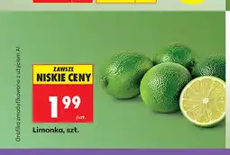 Biedronka Limonka oferta