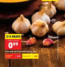 Biedronka Czosnek polski oferta