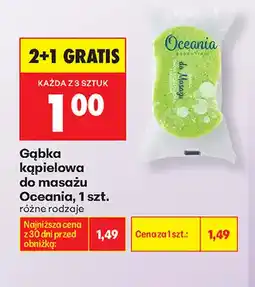 Biedronka Gąbka kąpielowa do masażu Oceania oferta