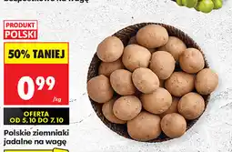 Biedronka Polskie ziemniaki jadalne na wagę oferta