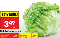 Biedronka Sałata lodowa, szt oferta