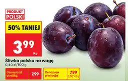 Biedronka Śliwka polska na wagę oferta