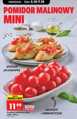 Biedronka Pomidor malinowy mini oferta