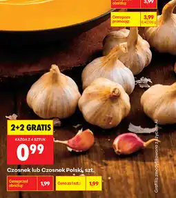 Biedronka Czosnek lub Czosnek Polski, szt oferta