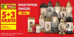 Biedronka Znicze (Wszystkie) oferta
