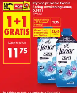 Biedronka Lenor Spring Awakening Płyn do płukania tkanin oferta