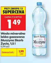 Biedronka Woda mineralna lekko gazowana Muszyna Skarb Życia oferta