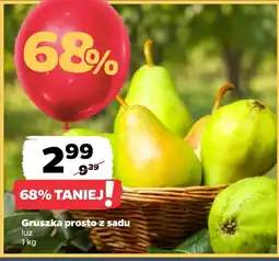 Netto Gruszka oferta