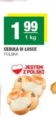 Spar Cebula w łusce polska oferta