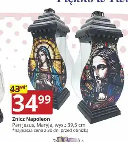 Prymus-AGD Znicz Napoleon Maryja oferta