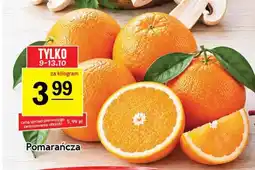 Gram Market Pomarańcze oferta