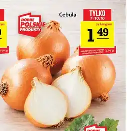 Gram Market Cebula oferta