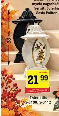 Gram Market Znicz Lilia S-3108 oferta