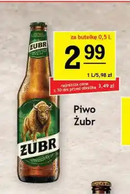 Gram Market Piwo Żubr oferta