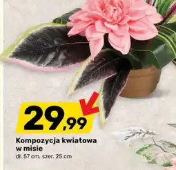 Bricomarche Kompozycja kwiatowa w misie oferta