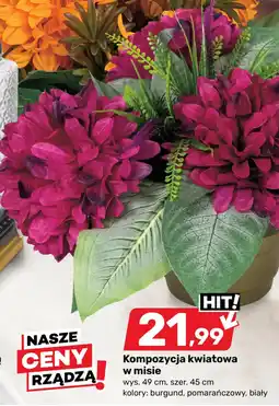 Bricomarche Kompozycja kwiatowa w misie oferta