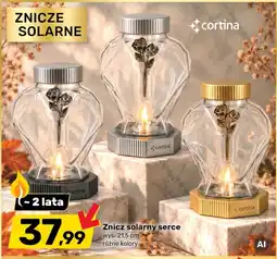 Bricomarche Znicz solarny serce cortina oferta